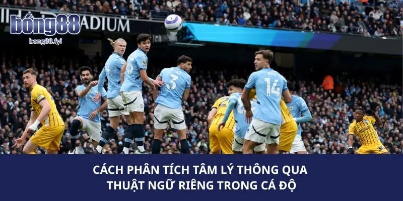 Cách phân tích tâm lý thông qua thuật ngữ riêng trong cá độ